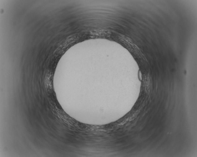 X0000083990770200703161622