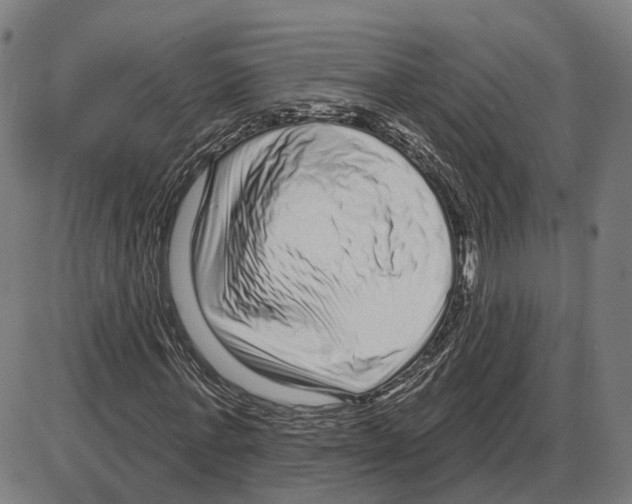 X0000083990771200703161622