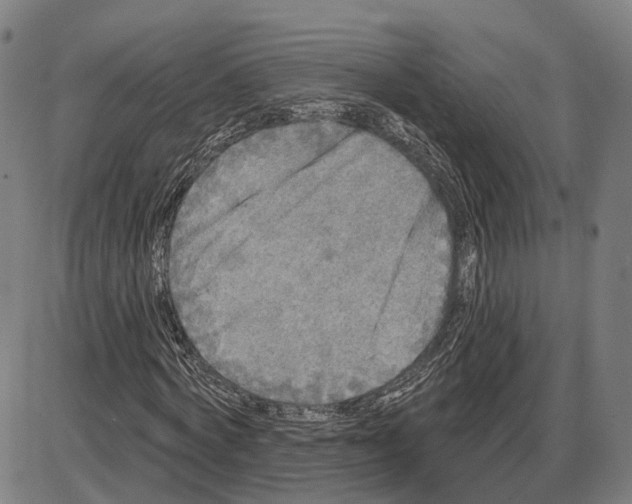 X0000083990772200703161622