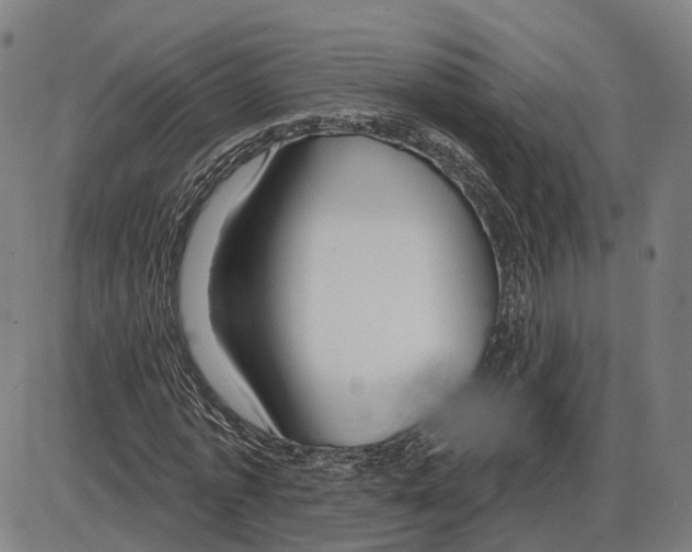 X0000083990773200703161622