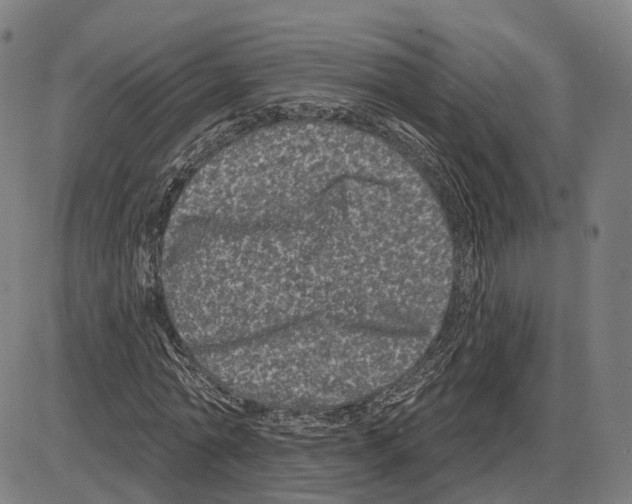 X0000083990774200703161622