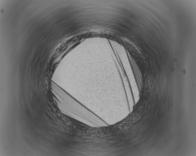 X0000083990776200703161622