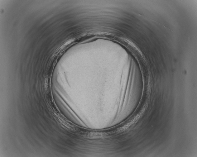 X0000083990777200703161622