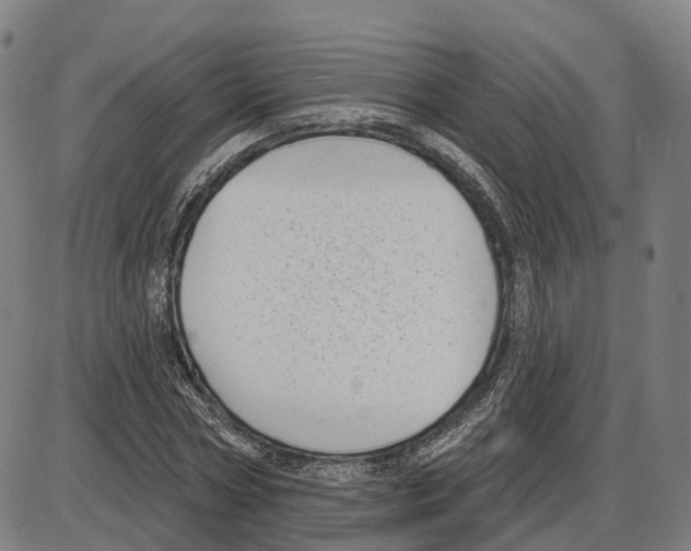 X0000083990778200703161622