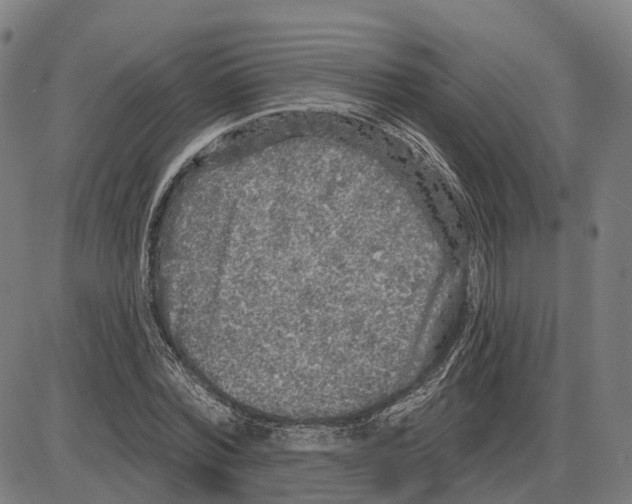 X0000083990780200703161622