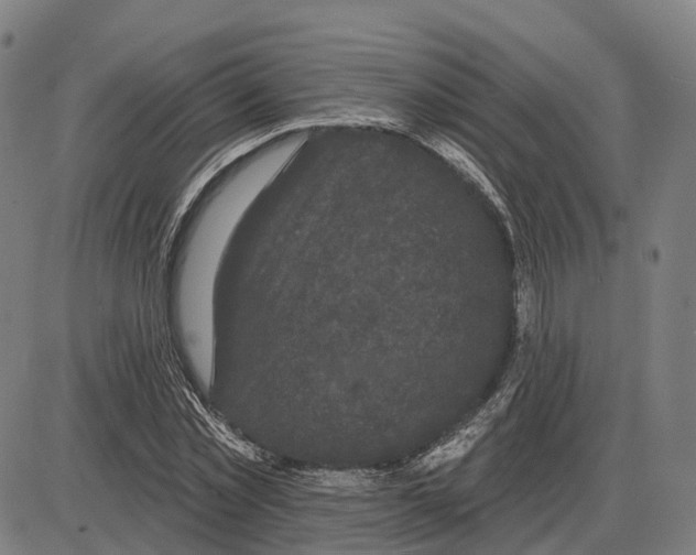 X0000083990781200703161622