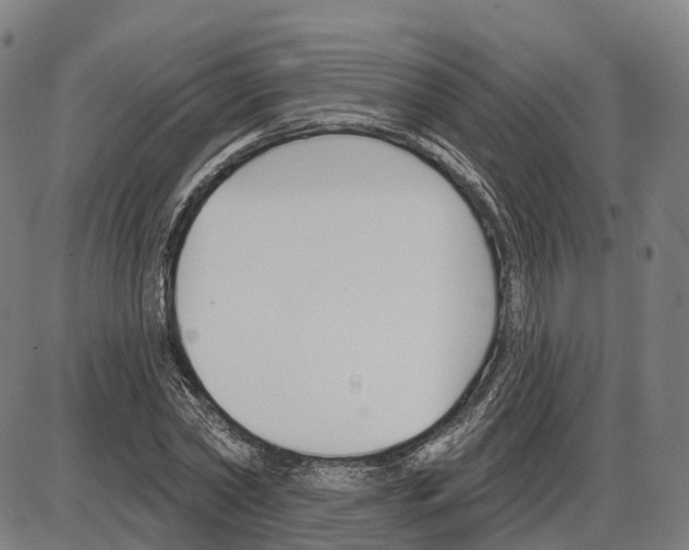 X0000083990782200703161621