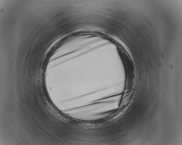 X0000083990783200703161621