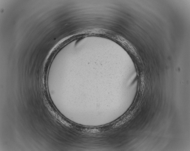 X0000083990784200703161621