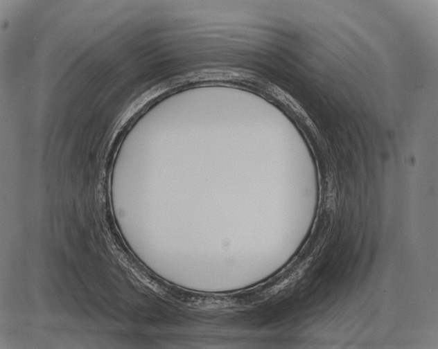 X0000083990786200703161621