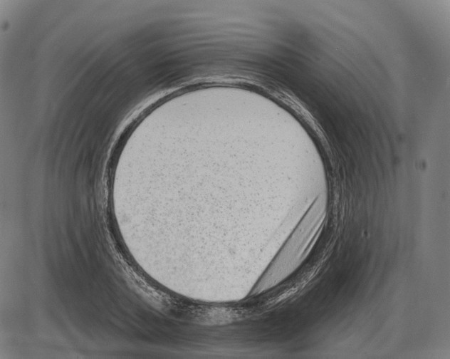 X0000083990787200703161621