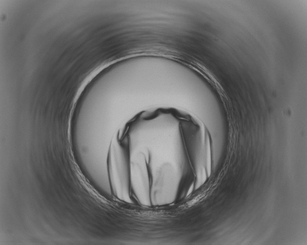 X0000083990788200703161621