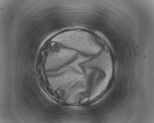 X0000083990789200703161621