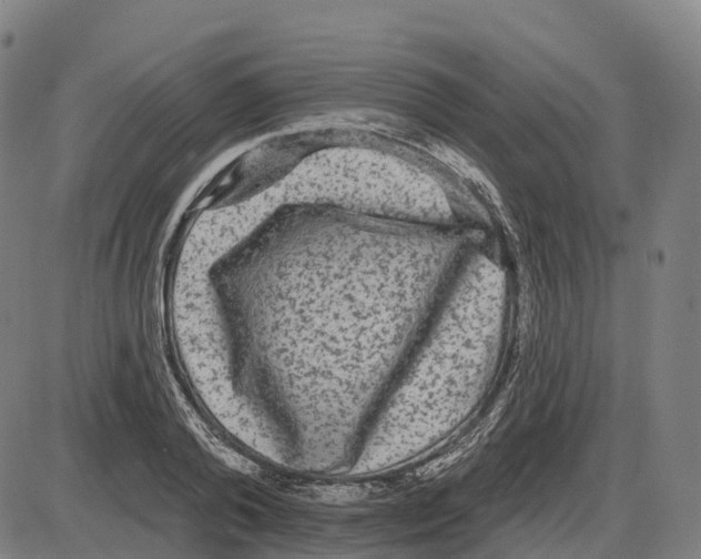 X0000083990792200703161621