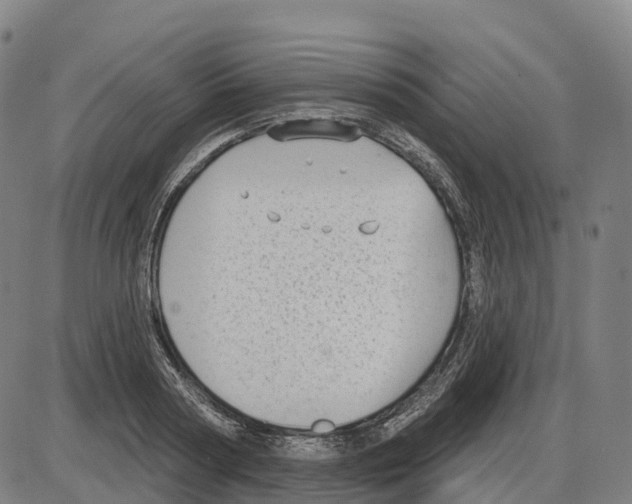 X0000083990794200703161621