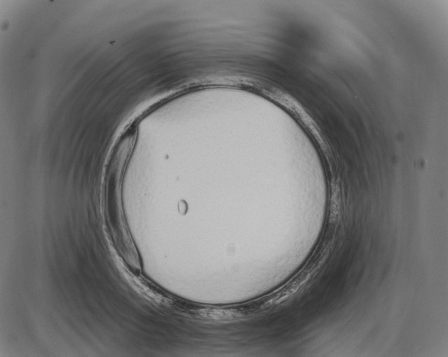 X0000083990795200703161621