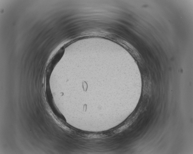 X0000083990796200703161621