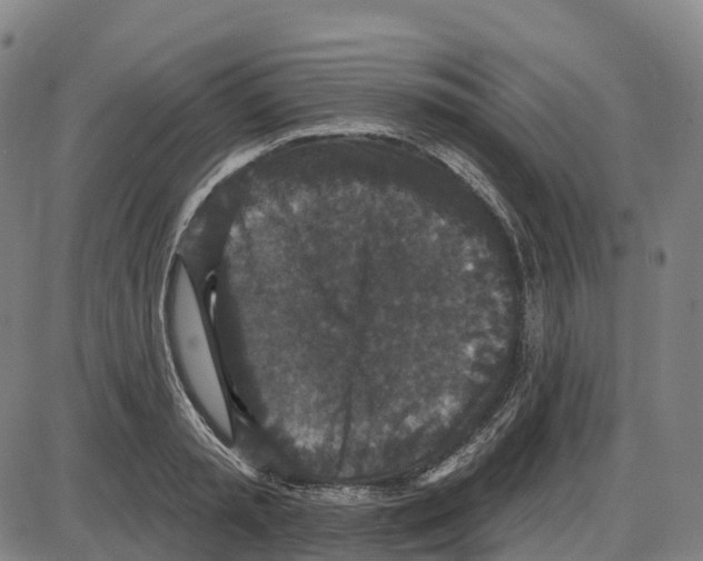 X0000083990797200703161621