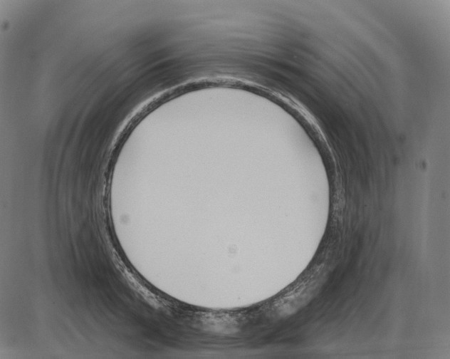 X0000083990799200703161621