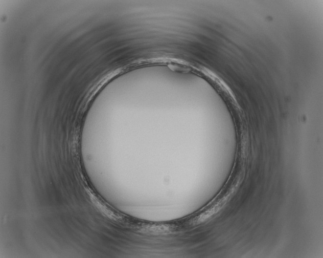 X0000083990801200703161621