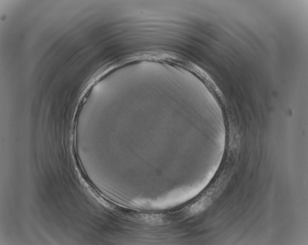 X0000083990802200703161621