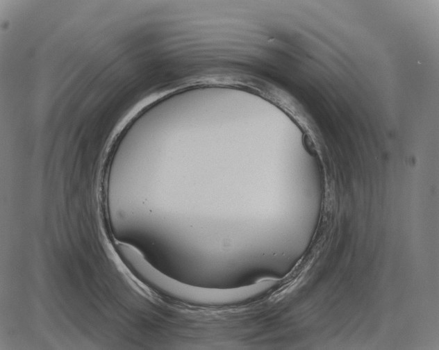 X0000083990803200703161621