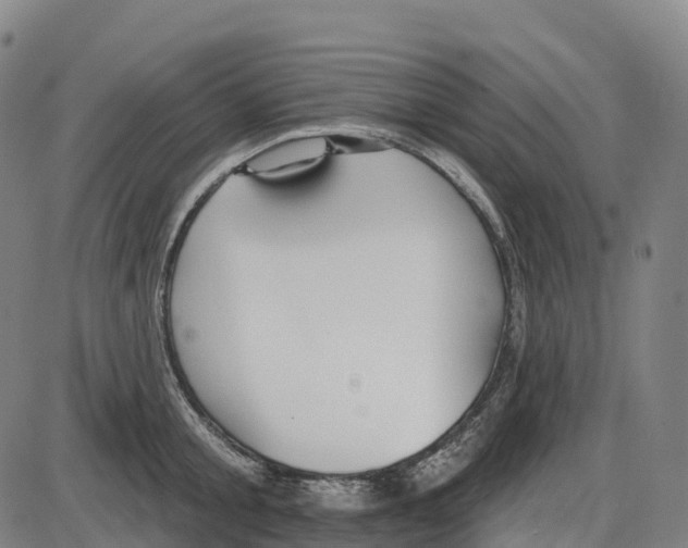 X0000083990805200703161621