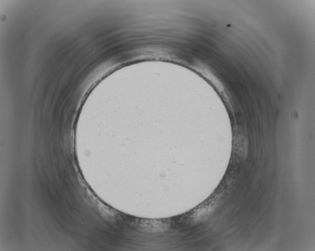 X0000083990807200703161621