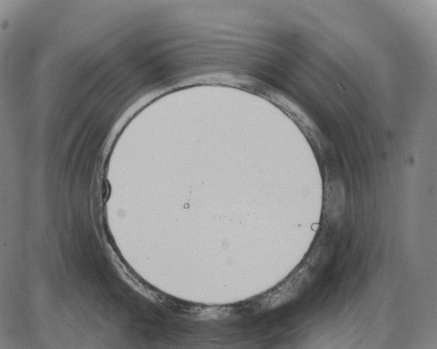 X0000083990808200703161621