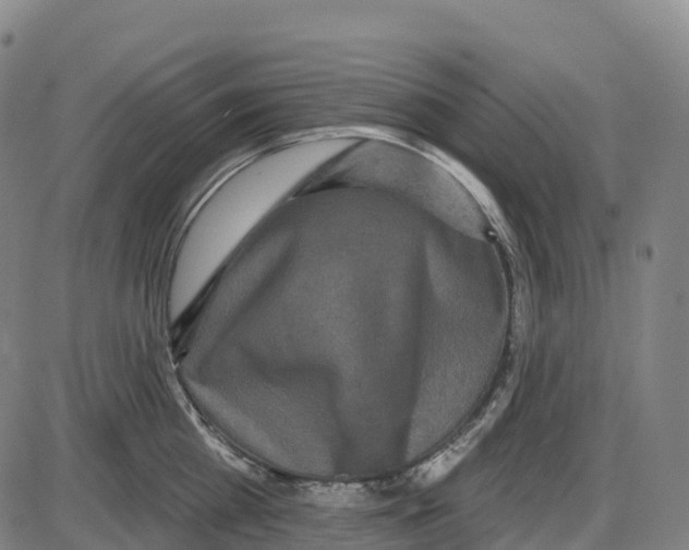 X0000083990809200703161621