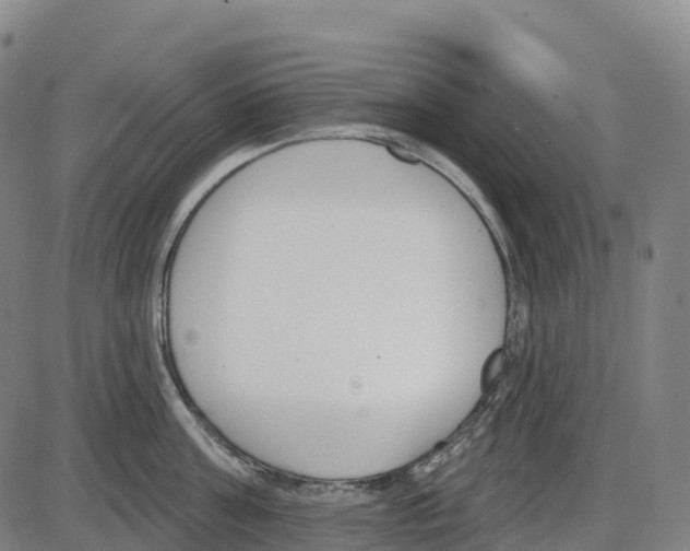 X0000083990811200703161621