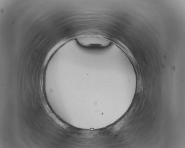 X0000083990812200703161621