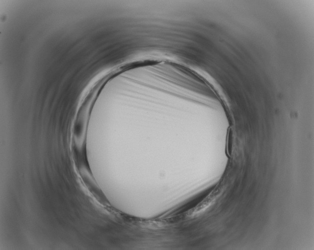 X0000083990815200703161621