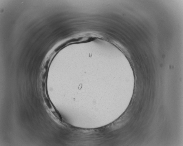 X0000083990816200703161621