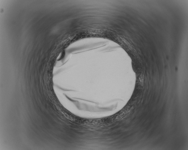 X0000083990817200703161620