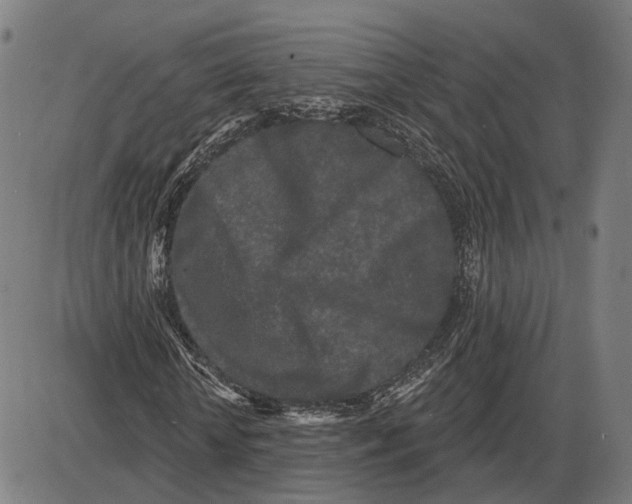 X0000083990818200703161620