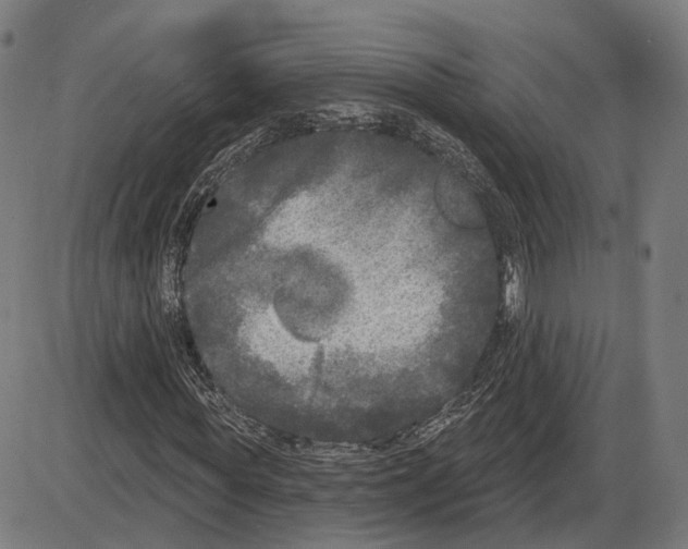 X0000083990819200703161620