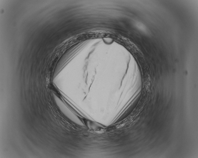 X0000083990821200703161620