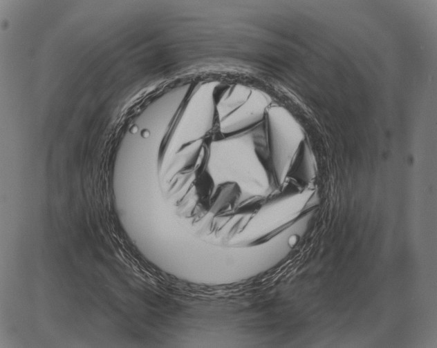 X0000083990824200703161620