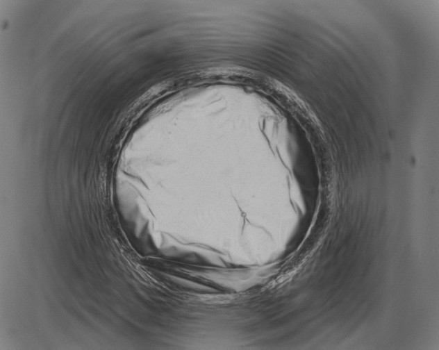 X0000083990825200703161620