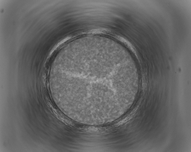 X0000083990827200703161620