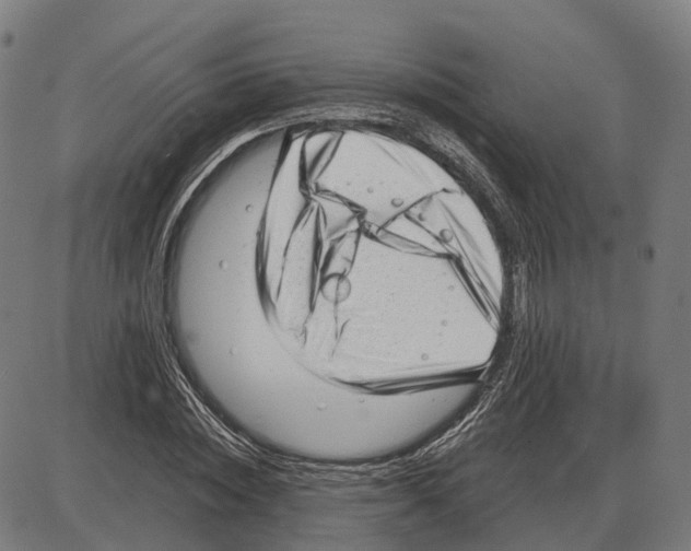 X0000083990828200703161620