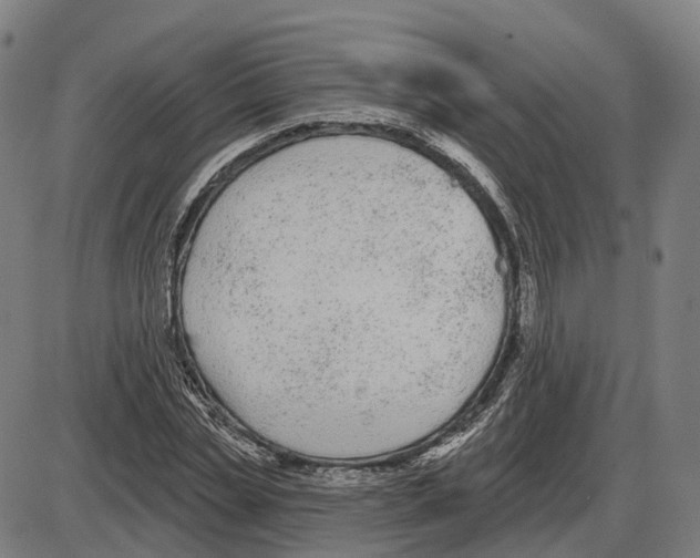 X0000083990829200703161620