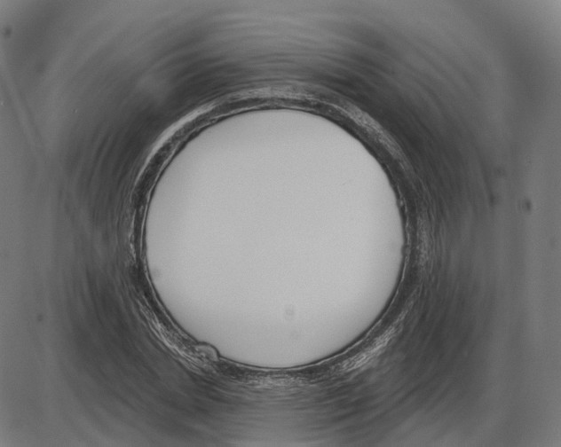 X0000083990830200703161620