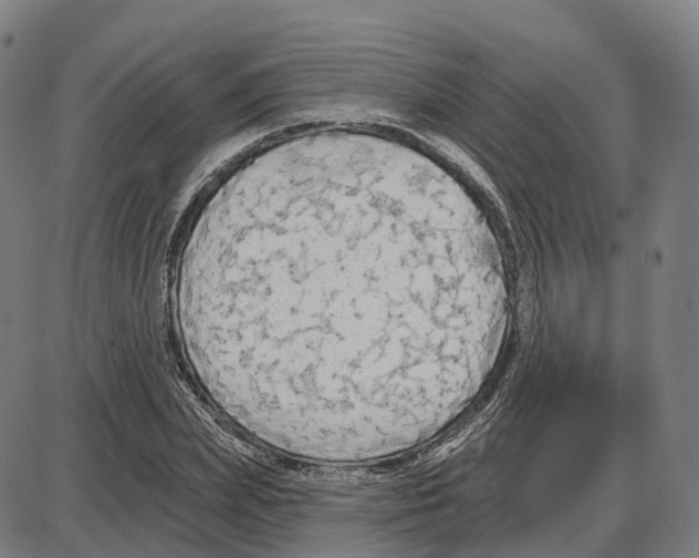 X0000083990831200703161620