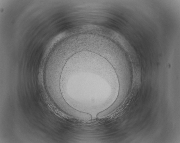 X0000083990832200703161620