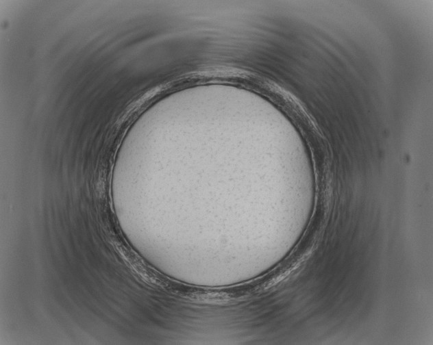 X0000083990833200703161620