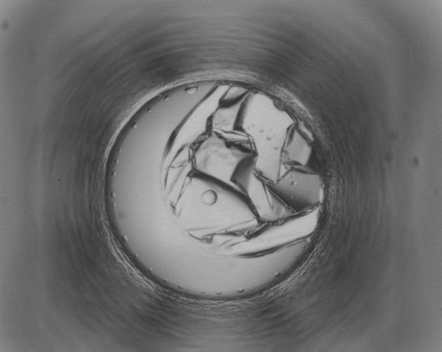 X0000083990836200703161620