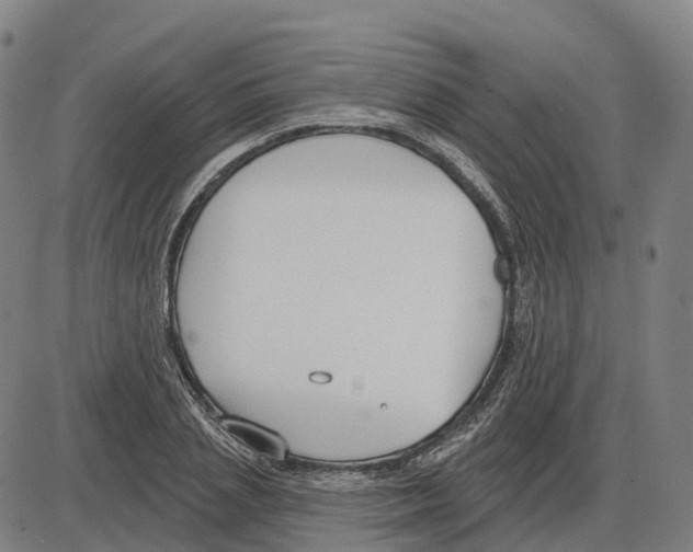 X0000083990837200703161620