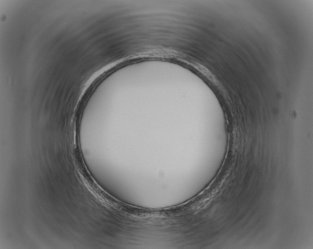 X0000083990838200703161620